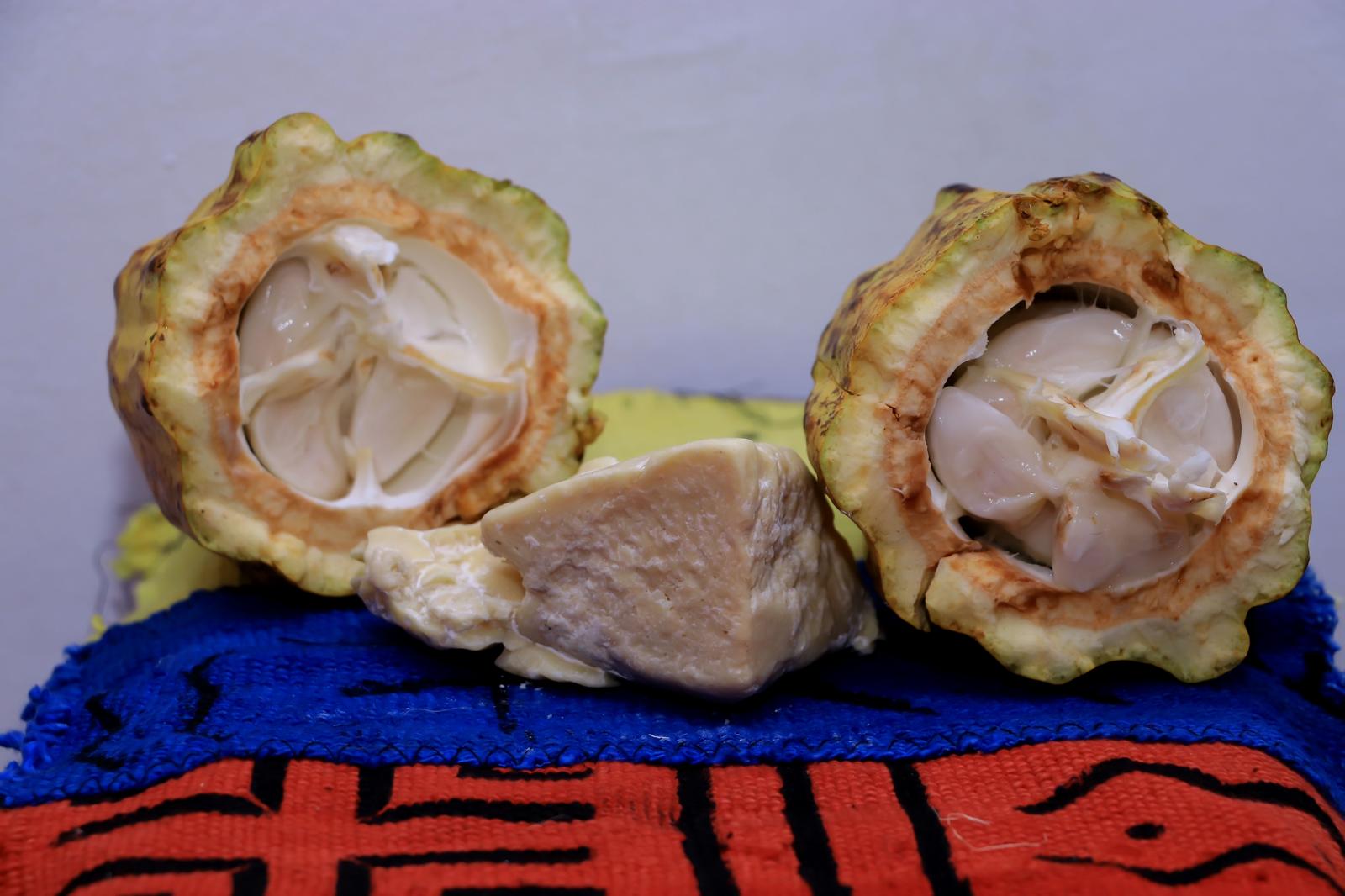 Dame-nature-beurre-de-cacao